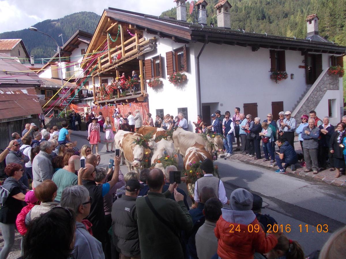 Albergo Alpino Falcade Luaran gambar