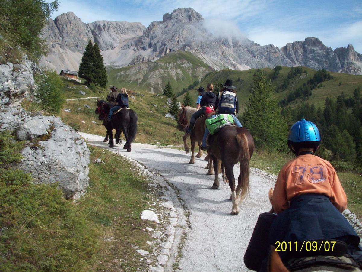 Albergo Alpino Falcade Luaran gambar