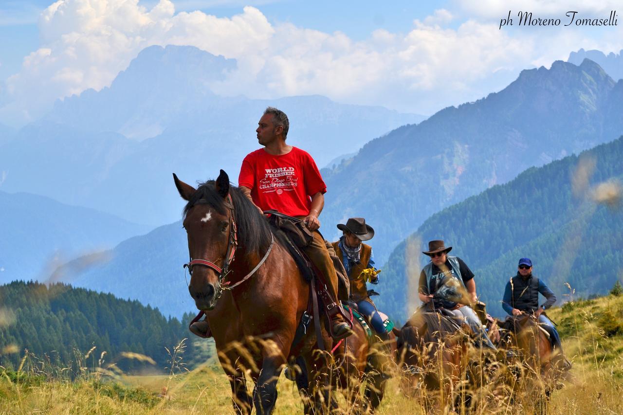 Albergo Alpino Falcade Luaran gambar